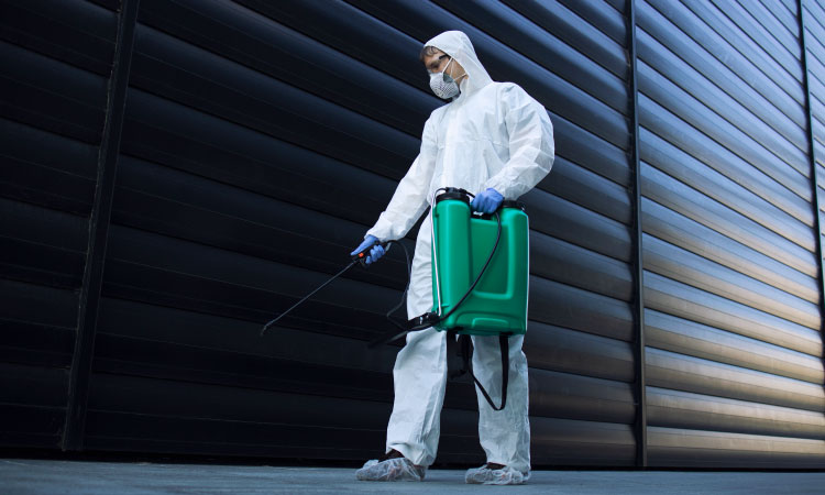 Pest Control Leads: Your Gateway to Growing Your Business